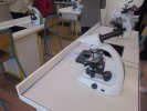Les microscopes en salle de SVT