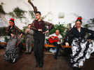 Cordoue : spectacle de Flamenco